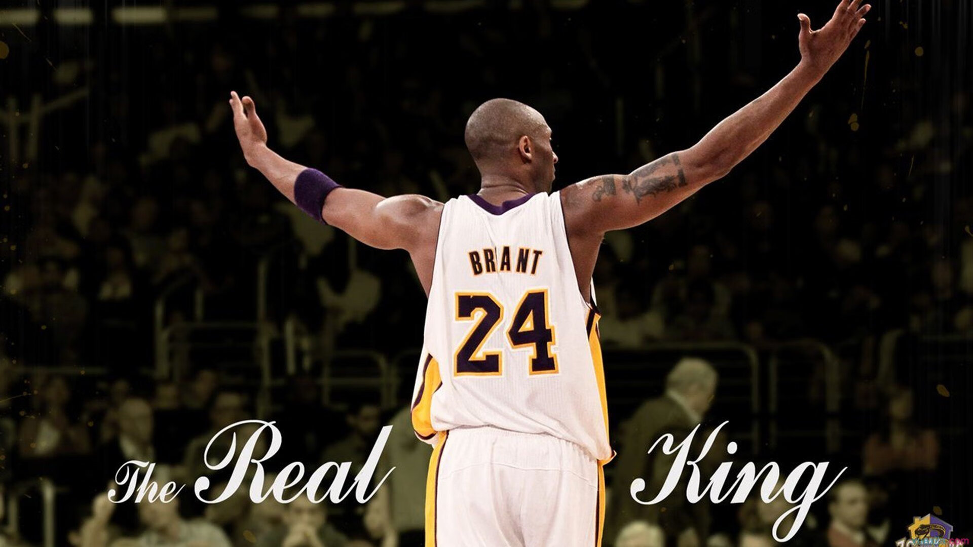 关于世界杯预选赛最新形势：波士顿凯尔特人高居榜首，热刺强势追赶，冠军归属成迷的信息